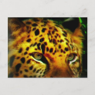 Postal Cartão de Arte de Vida Selvagem da Selva com Olhar