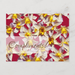 Postal Cartão de Boas-vindas Personalizado com Narcisos
