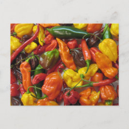 Postal Cartão de cabeça chilihead