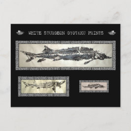 Postal Cartão de Colagem Gyotaku Sturgeon Branco