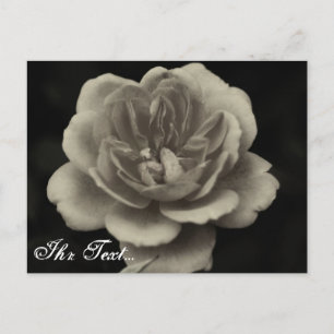 Postal cartão de condolências