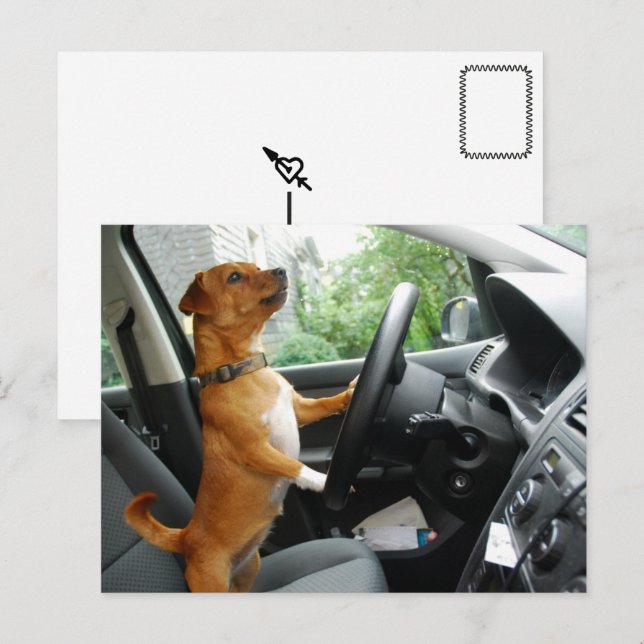 Postal Cartão de Congratulação da Carta de Condução (Frente/Verso)