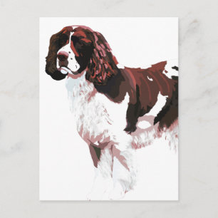 Postal Cartão de espanhol Brown e White Springer