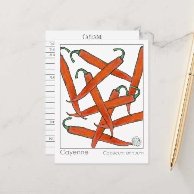 Postal Cartão de Estudo à Herbal Cayenne Pepper Materia M (Frente/Verso In Situ)