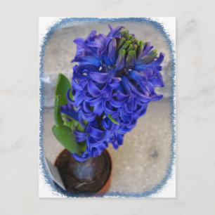 Postal Cartão de flor azul