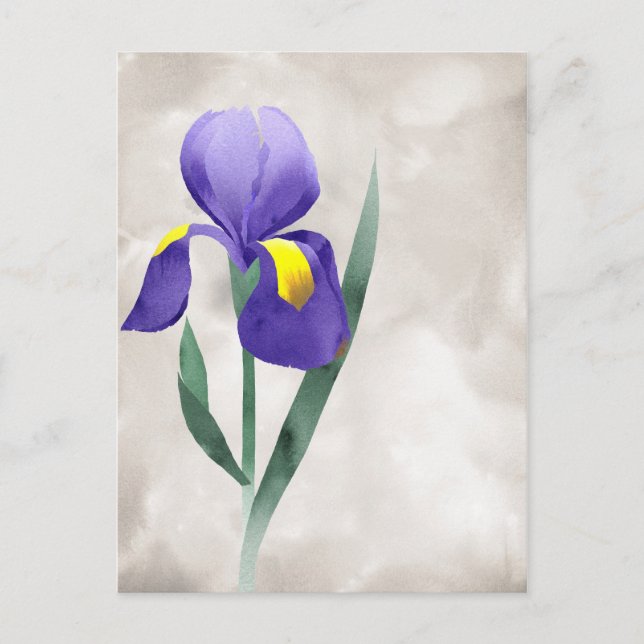 Postal cartão de flor da íris púrpura (Frente)