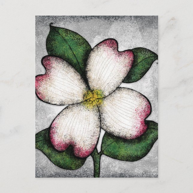 Postal Cartão de Flor de Dogwood (Frente)