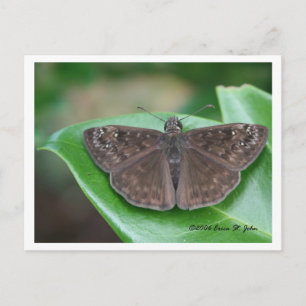 Postal Cartão de Intenções Mensais