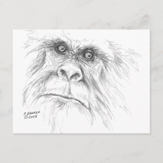 Postal Cartão de LTB (Frente)