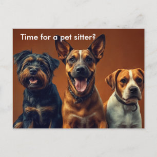 Postal Cartão de marketing moderno para passeador de cães