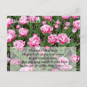 Postal Cartão de Meditação e Memória das Escrituras