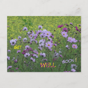Postal Cartão de Melhoras Campo de Cosmea e Colza