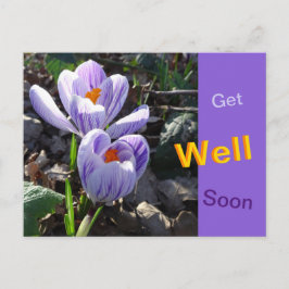 Postal Cartão de Melhoras com Crocus Listrados