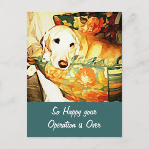 Postal Cartão de Melhoras Labrador Retriever