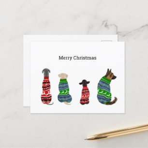 Postal Cartão de Natal com Cães Vestindo Suéter