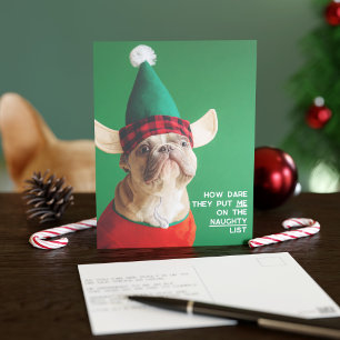 Postal Cartão de Natal com Foto Divertida de Animal de Es
