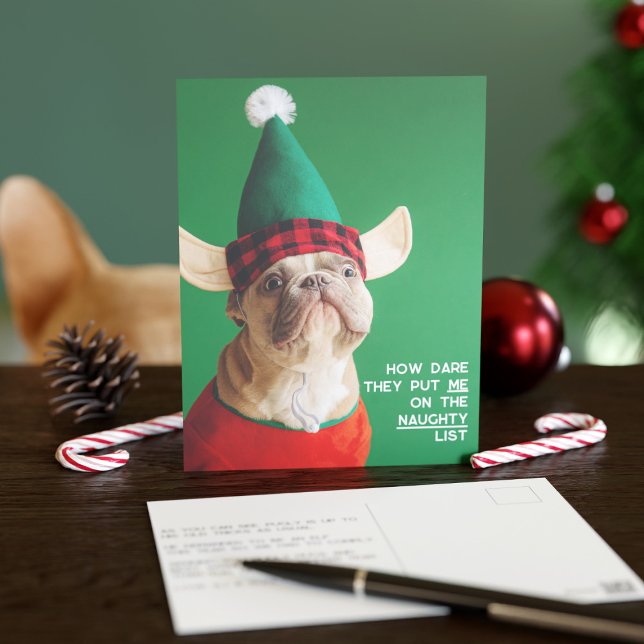 Postal Cartão de Natal com Foto Divertida de Animal de Es (Your pup would never be on the naughty list I'm sure)