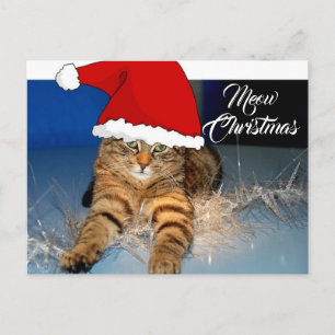 Postal Cartão de Natal de Gato Fofo com Saudação de Féria