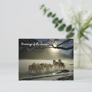 Postal Cartão de Natal do Cão de Trineo Husky Férias