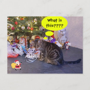 Postal Cartão de Natal engraçado com gatinho e Papai Noel