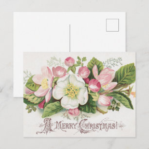 Postal Cartão de Natal Vintage Retro, Flores de Maçã