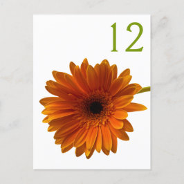 Postal Cartão de Número de Tabela de Margarida de Gerbera