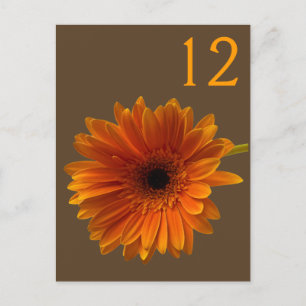 Postal Cartão de Número de Tabela de Margarida de Gerbera
