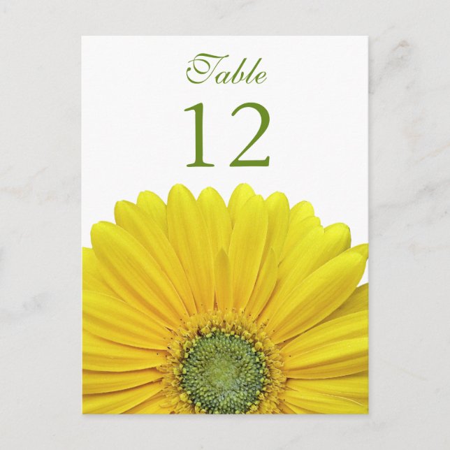 Postal Cartão de Número de Tabela de Margarida Gerbera Am (Frente)