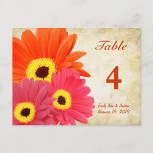 Postal Cartão de Número de Tabela Gerber Daisy