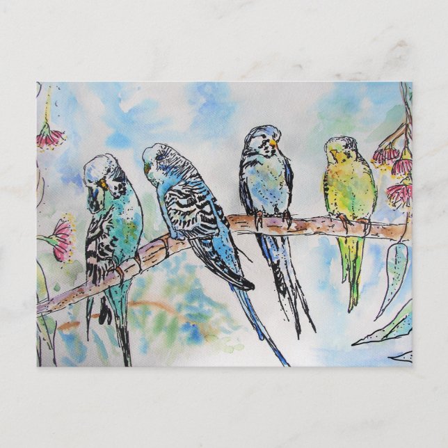 Postal Cartão de Pássaro de Pintura de Cores Aquáticas do (Frente)