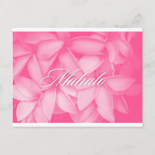Postal Cartão de Plumeria Rosa Mahalo