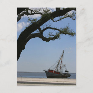 Postal Cartão de Posto Ahoy