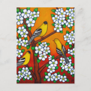 Postal Cartão de Posto Chardonnay Sunset