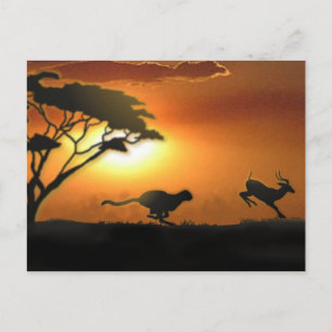 Postal Cartão de posto Cheetah e Gazelle