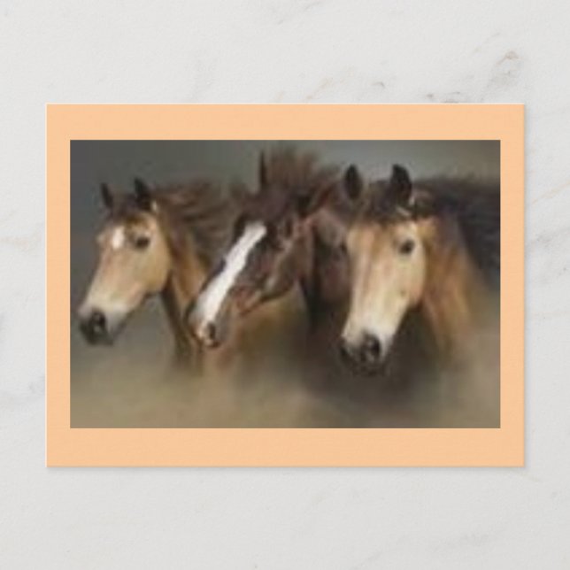 Postal Cartão de posto com Cavalos (Frente)