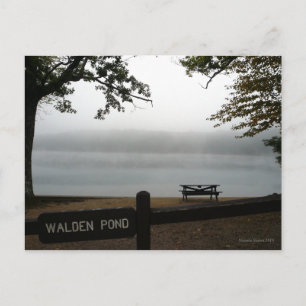 Postal Cartão de posto contemplativo Walden Pond