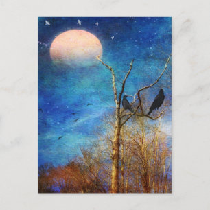 Postal Cartão de Posto de Cena de Floresta Whimsical