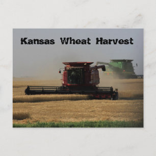 Postal Cartão de Posto de Colheita de Trigo Kansas