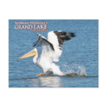 Cartão de posto Grand Lake Oklahoma pelican 16v1