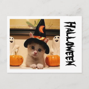 Postal Cartão de Posto Halloween