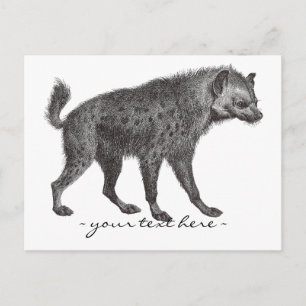 Postal Cartão de Posto Hyena Visitado
