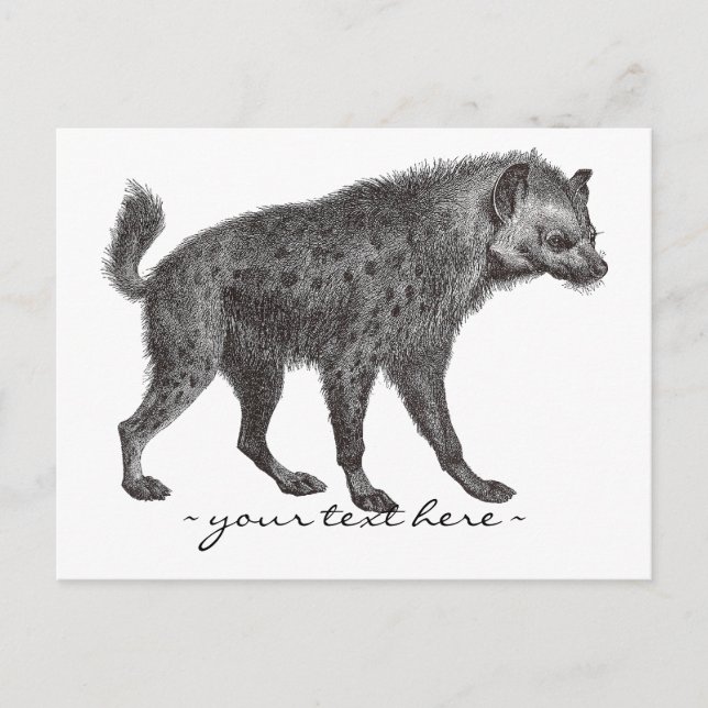 Postal Cartão de Posto Hyena Visitado (Frente)