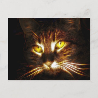 Postal Cartão de posto Kitty Cat