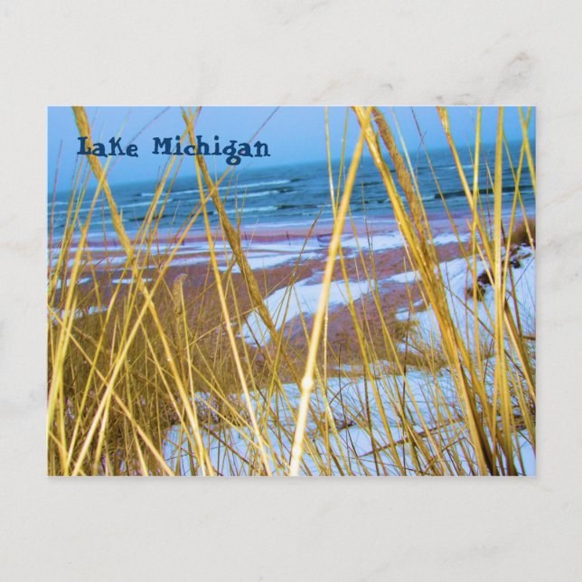 Postal Cartão de Posto Michigan Dune Grass (Frente)
