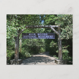 Postal Cartão de Posto Muir Woods