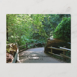 Postal Cartão de Posto Muir Woods