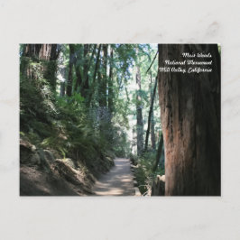 Postal Cartão de Posto Muir Woods