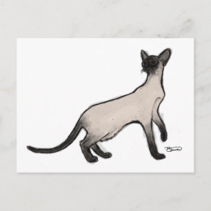 Postal Cartão de Posto para gatos siameses