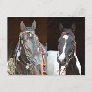 Postal cartão de posto pinto