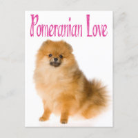 Cartão de Posto Puppy Dog Pomeranian